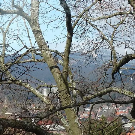 Apartamento Bergziege Braunlage Exterior foto